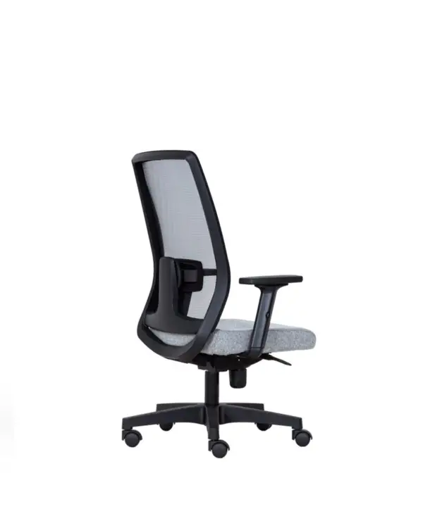 brown - Image 3