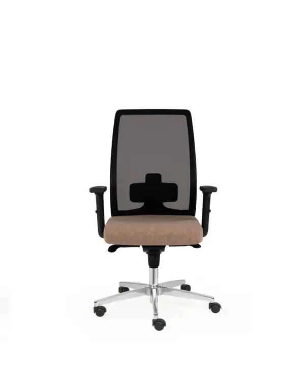 brown - Image 4