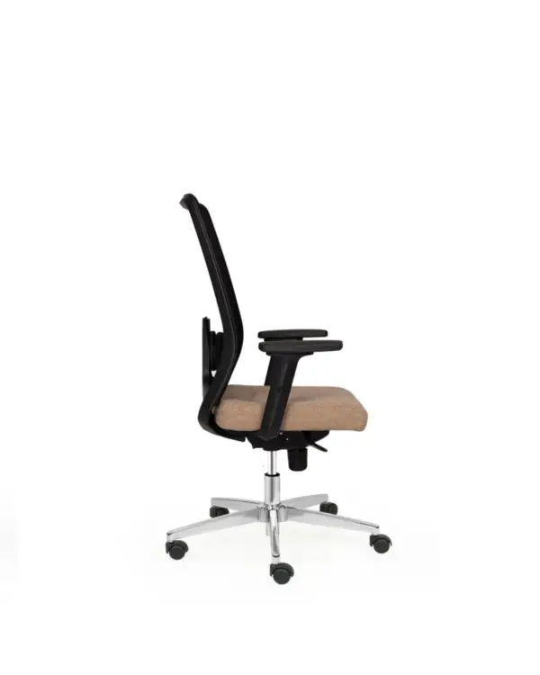 brown - Image 2