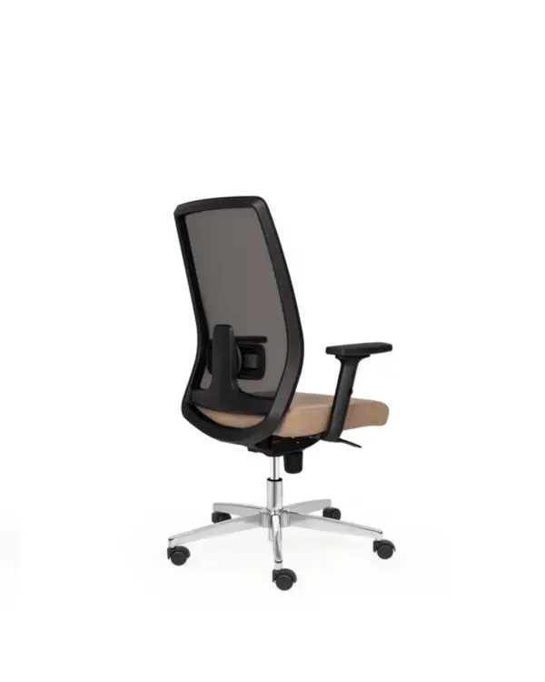 brown - Image 3