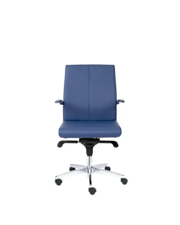 norman - Image 2