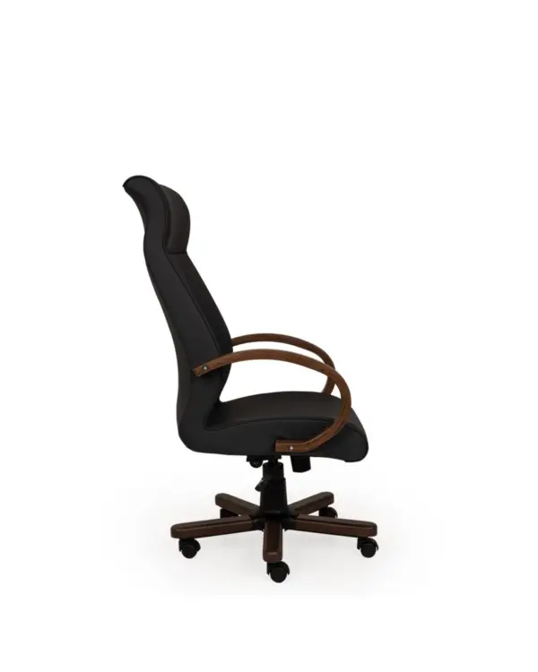 safir - Image 2