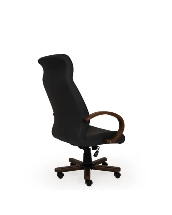 safir - Image 3