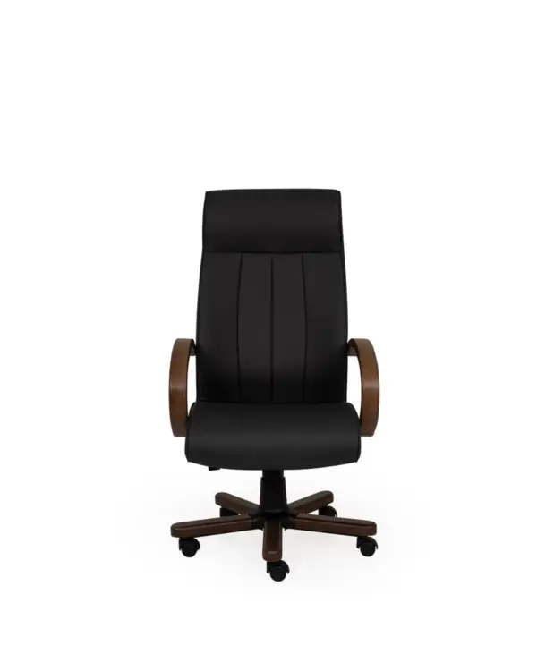 safir - Image 4